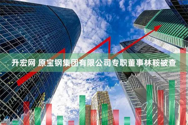 升宏网 原宝钢集团有限公司专职董事林鞍被查