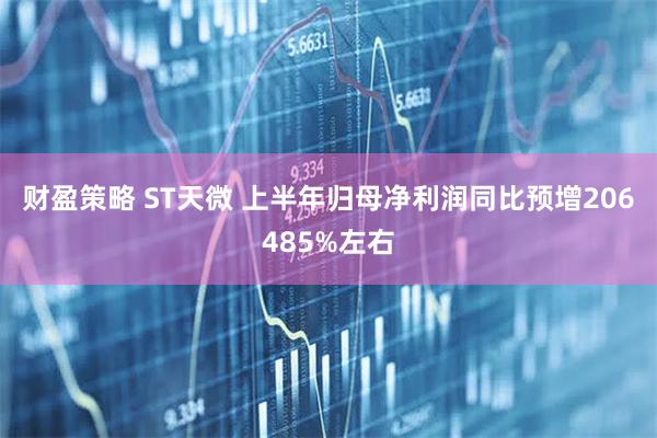 财盈策略 ST天微 上半年归母净利润同比预增206485%左右