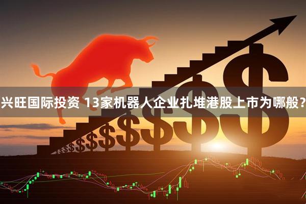 兴旺国际投资 13家机器人企业扎堆港股上市为哪般？