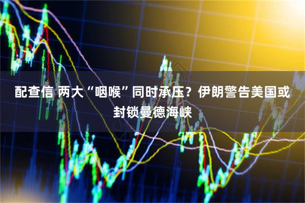 配查信 两大“咽喉”同时承压？伊朗警告美国或封锁曼德海峡