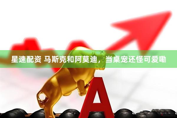 星速配资 马斯克和阿莫迪，当桌宠还怪可爱嘞