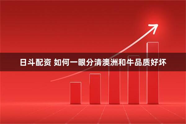 日斗配资 如何一眼分清澳洲和牛品质好坏